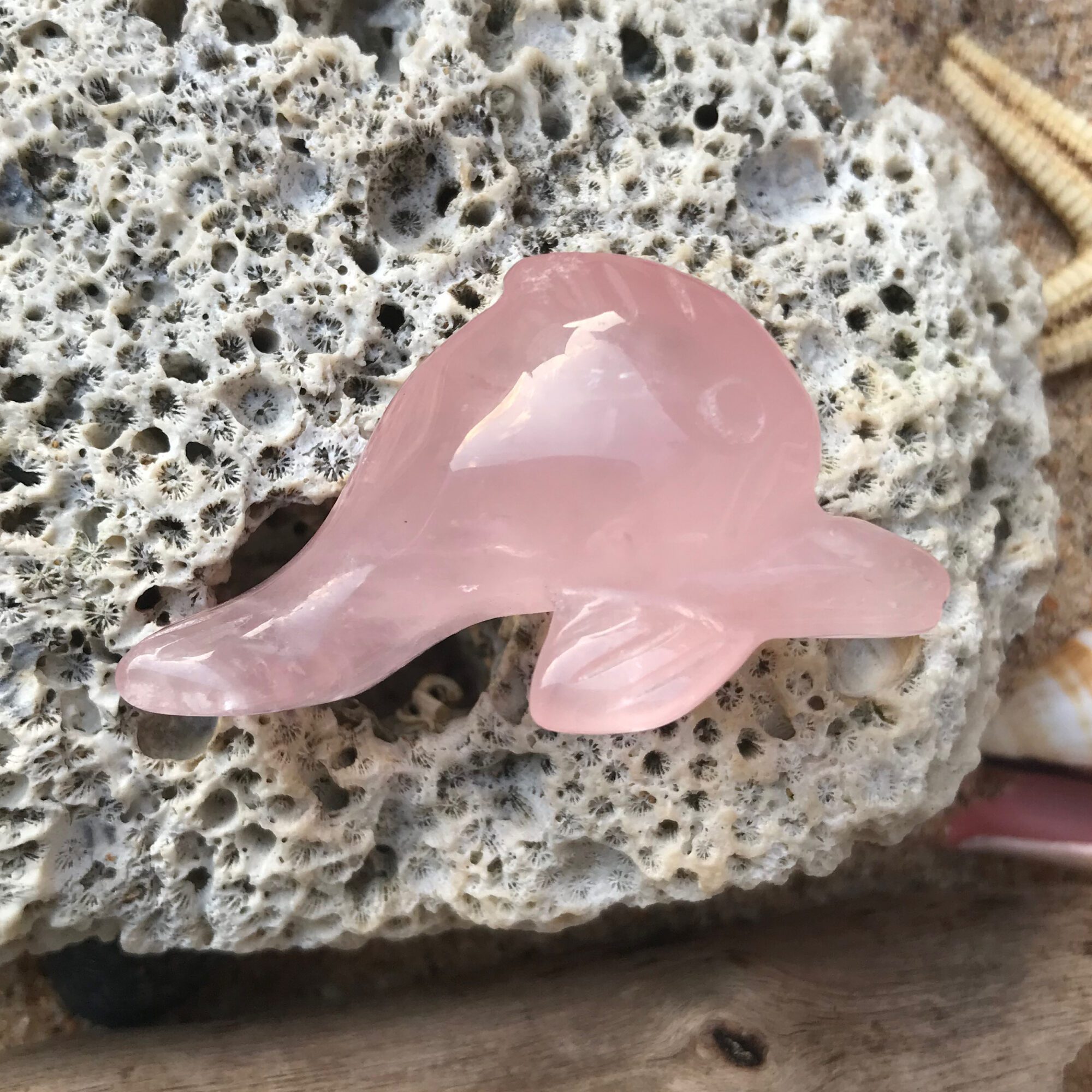 Rose Quartz Dolphin