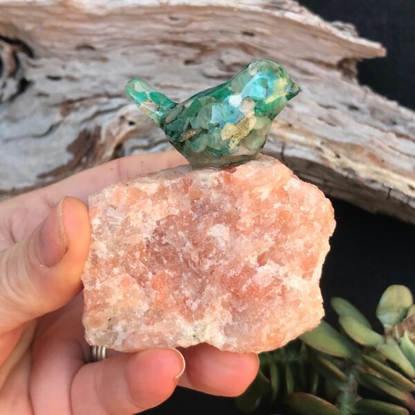 Bird on Sunstone - Image 2
