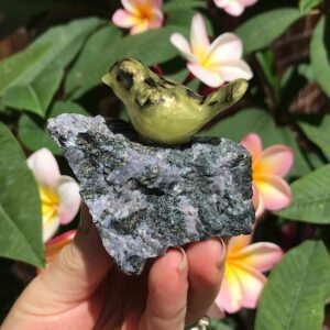 Bird on Indigo Gabbro Jasper
