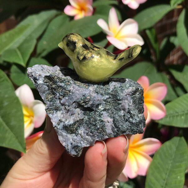 Bird on Indigo Gabbro Jasper
