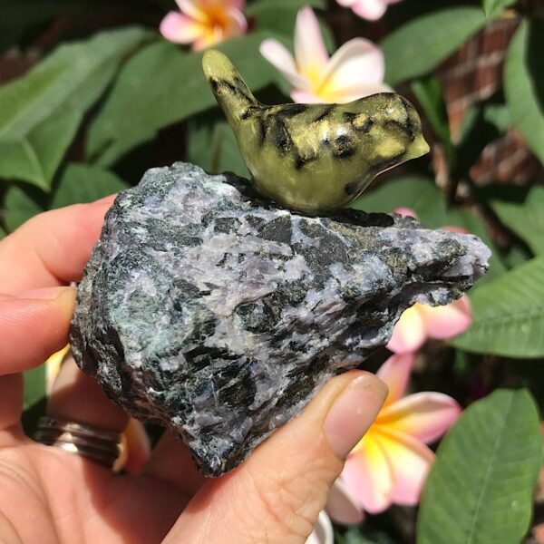 Bird on Indigo Gabbro Jasper - Image 2