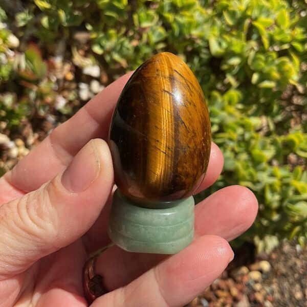 Tigers Eye Egg on Aventurine