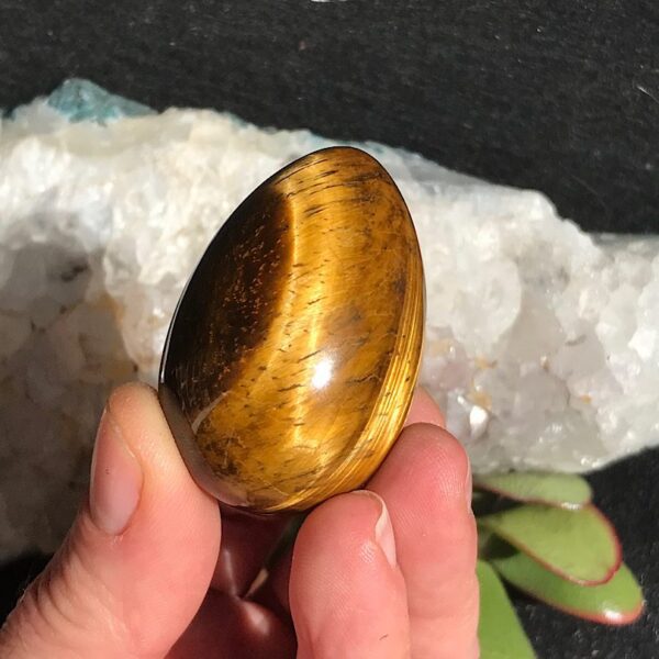 Tigers Eye Egg on Aventurine - Image 2