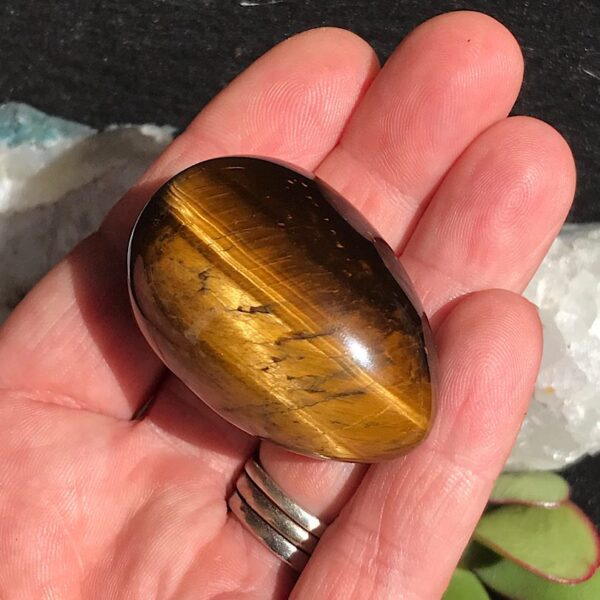 Tigers Eye Egg on Aventurine - Image 3
