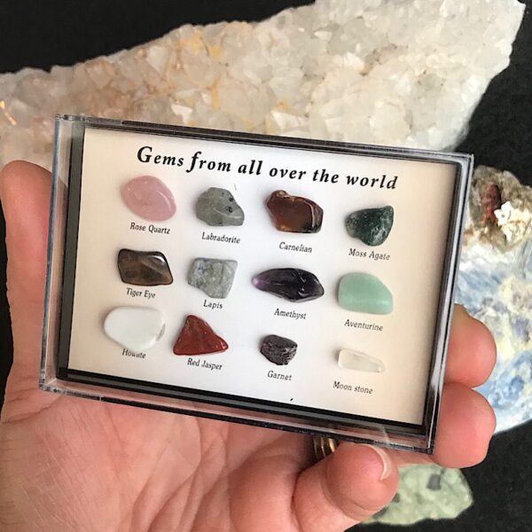 Gem Collectors Case - Image 4