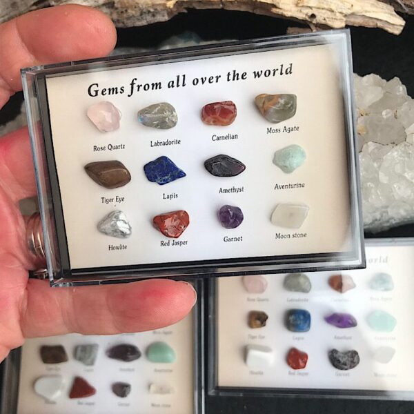 Gem Collectors Case - Image 3