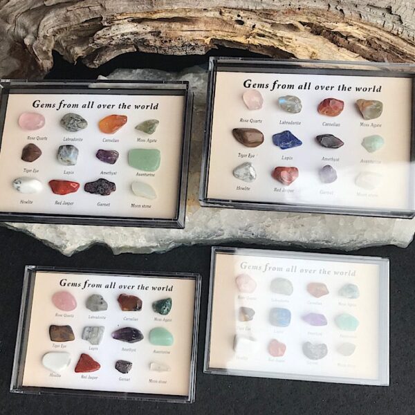 Gem Collectors Case - Image 2
