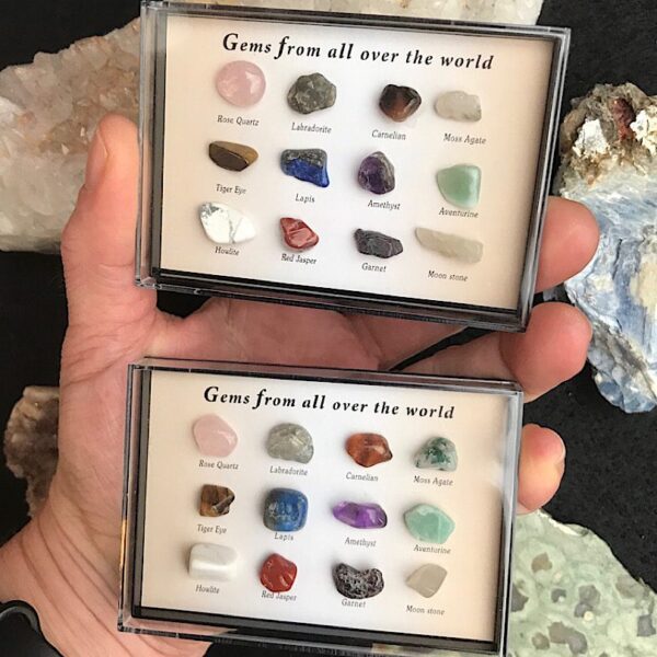 Gem Collectors Case