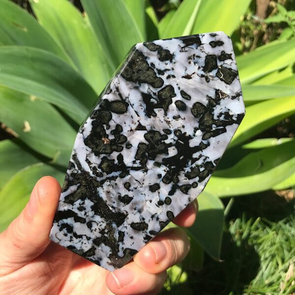 Indigo Gabbro Jasper Free-form - Image 4