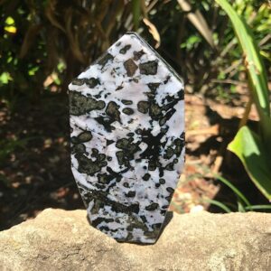 Indigo Gabbro Jasper Free-form