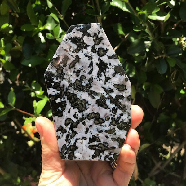 Indigo Gabbro Jasper Free-form