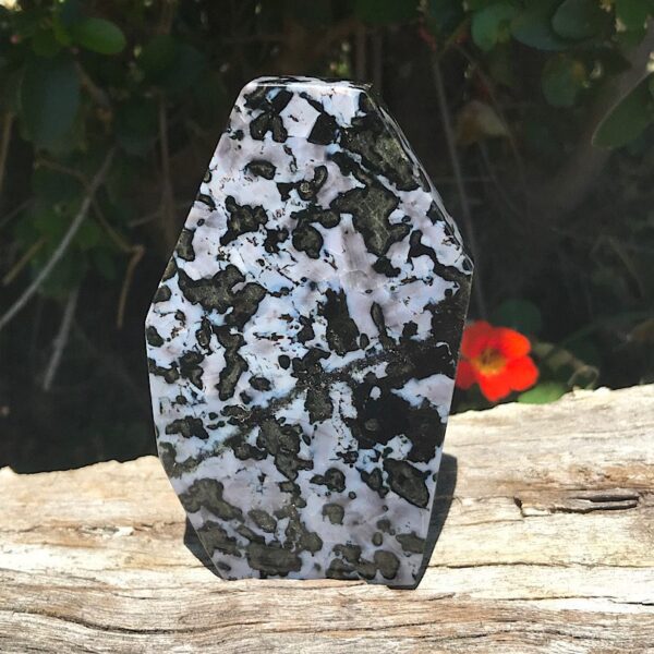 Indigo Gabbro Jasper Free-form - Image 2