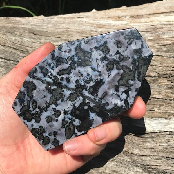 Indigo Gabbro Jasper Free-form - Image 3