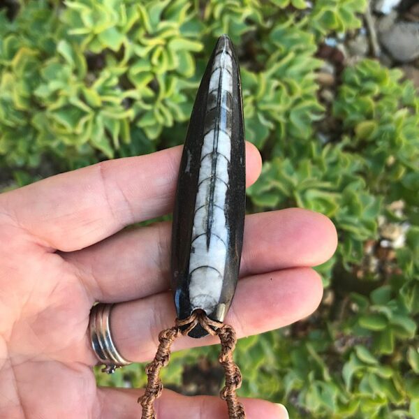 Orthoceras Fossil Macrame Necklace - Image 3