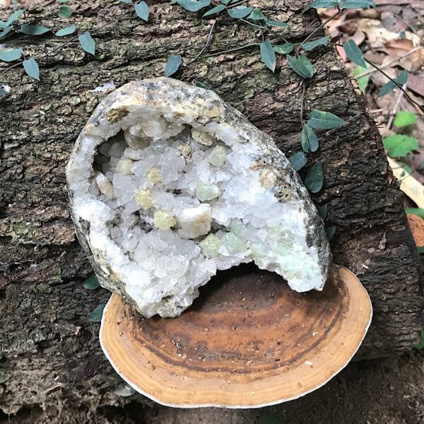 Botryoidal Prehnite and Apophyllite - Image 5