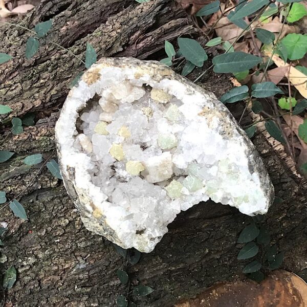 Botryoidal Prehnite and Apophyllite - Image 4