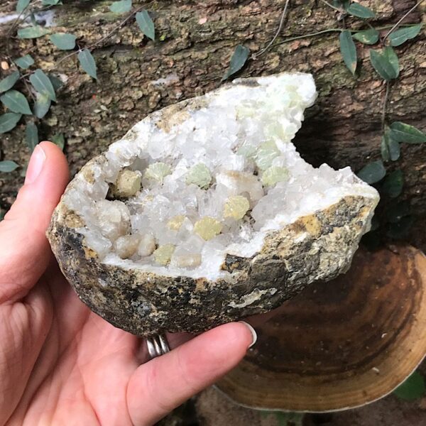Botryoidal Prehnite and Apophyllite - Image 3