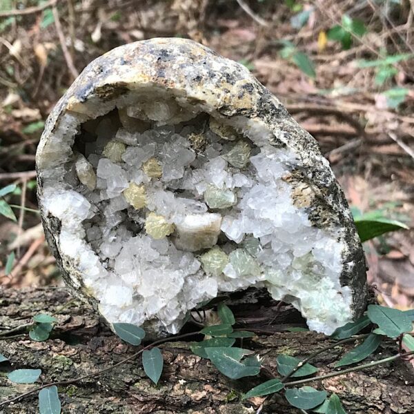 Botryoidal Prehnite and Apophyllite