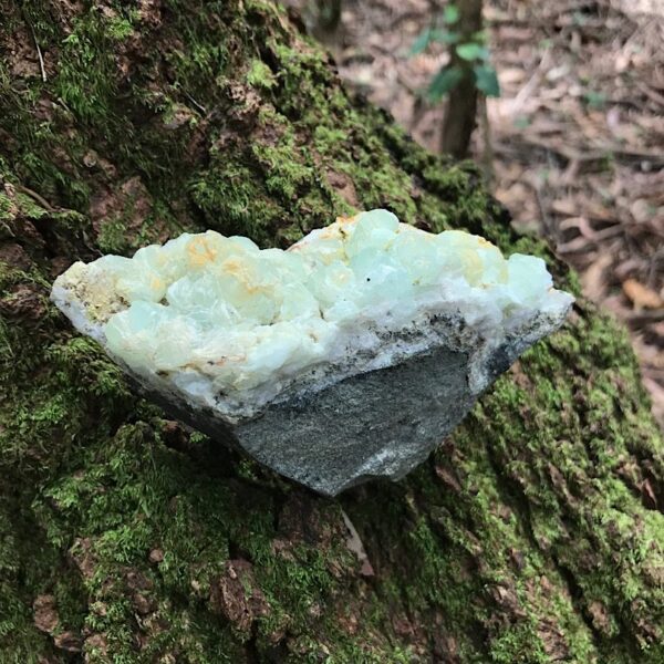 Botryoidal Prehnite Specimen - Image 4