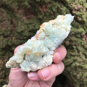 Botryoidal Prehnite Specimen