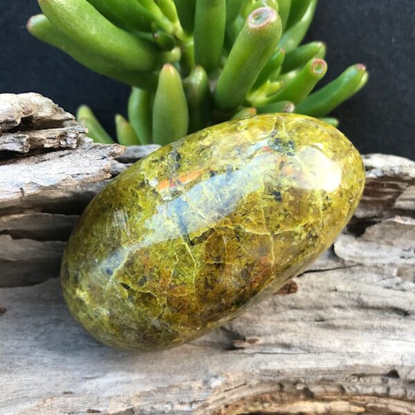 Green Opal Palm Stone