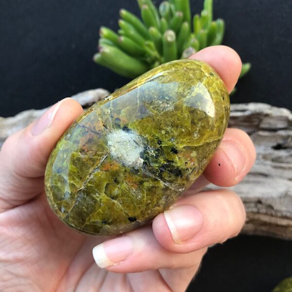 Green Opal Palm Stone - Image 3