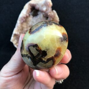 Septarian Palm Stone