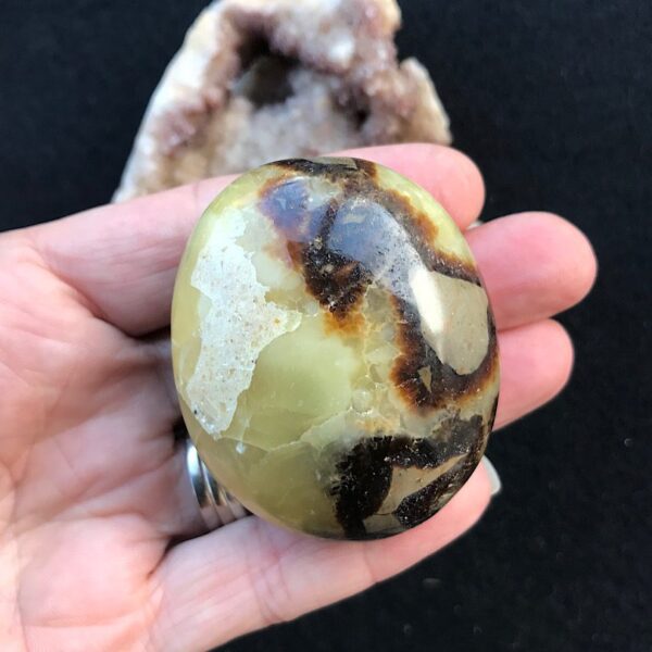Septarian Palm Stone - Image 3