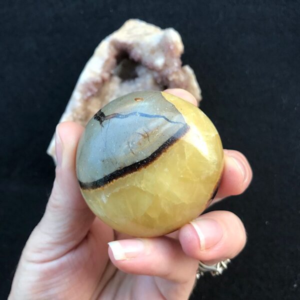 Septarian Palm Stone - Image 2
