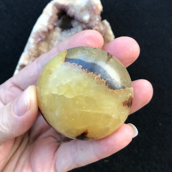 Septarian Palm Stone - Image 3