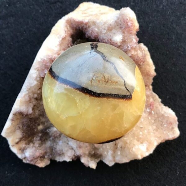 Septarian Palm Stone