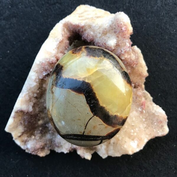 Septarian Palm Stone - Image 2
