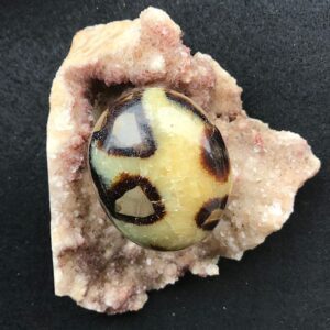 Septarian Palm Stone