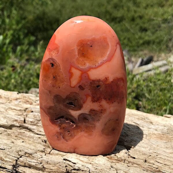 Carnelian Free-form