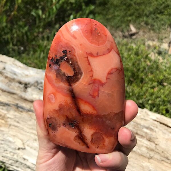 Carnelian Free-form - Image 2