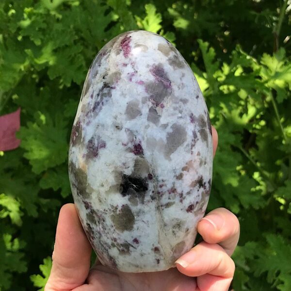 Red Tourmaline in Quartz Free-form - Image 4