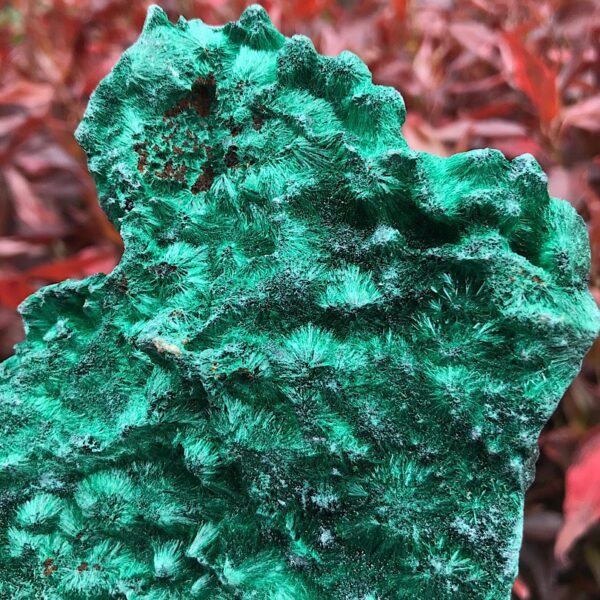 Silky Malachite Specimen - Image 4