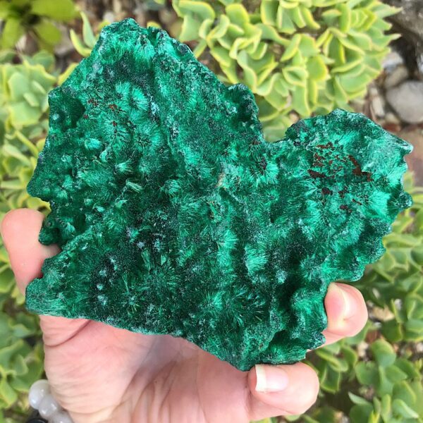 Silky Malachite Specimen - Image 6