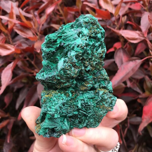 Silky Malachite Specimen - Image 2
