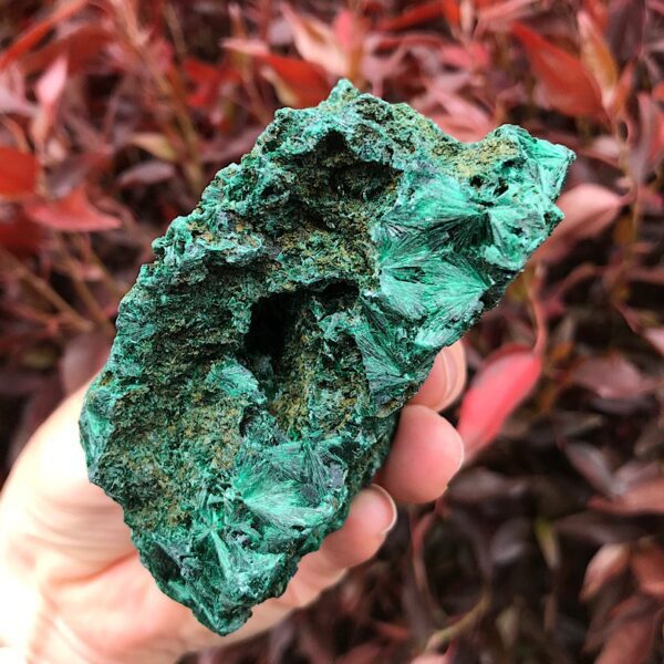 Silky Malachite Specimen - Image 4