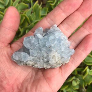 Celestite Cluster