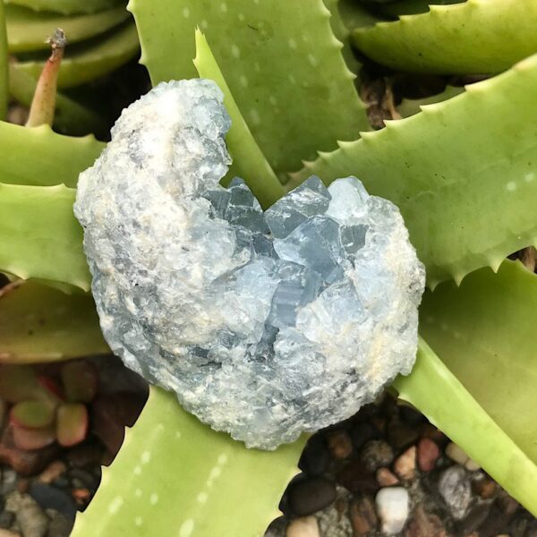 Celestite Cluster - Image 4