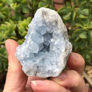 Celestite Cluster