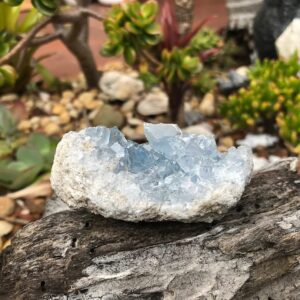 Celestite Cluster