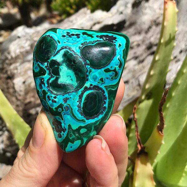 Polished Malachite and Chrysocolla - Image 2