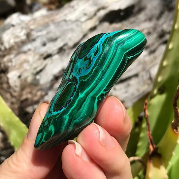 Polished Malachite and Chrysocolla - Image 3