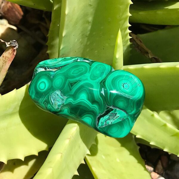 Polished Malachite