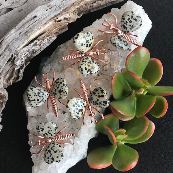 Dalmatian Jasper Dragonfly