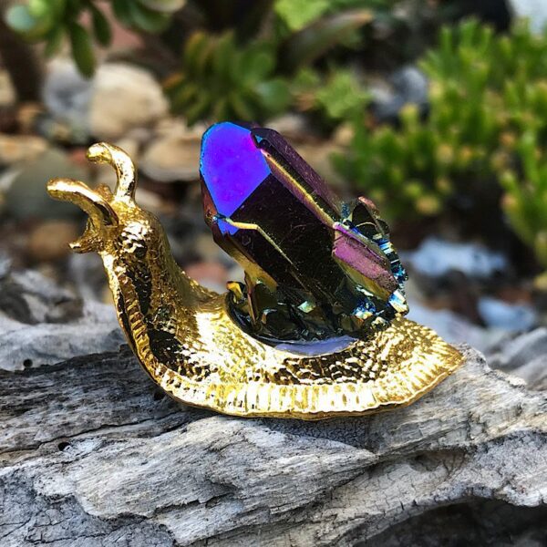 Titanium Quartz Cluster Snail