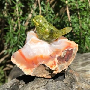 Bird on Carnelian